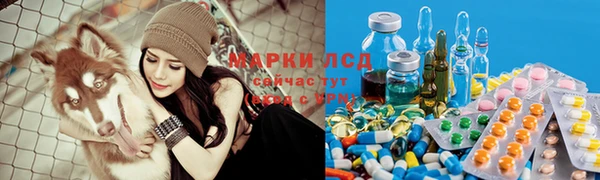 гидропоника Рославль