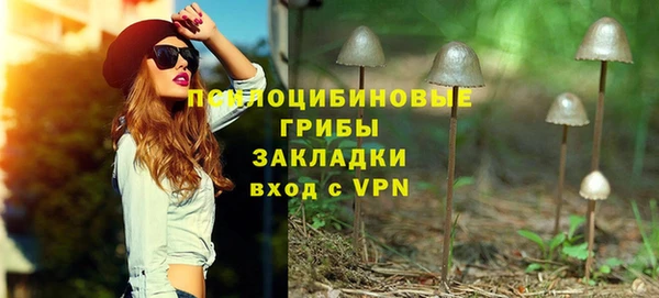 spice Арсеньев