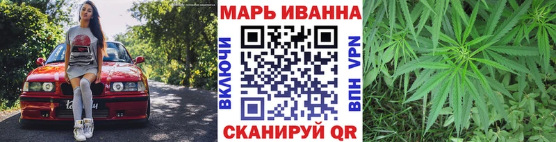 Канабис сатива  OMG   Сураж  сколько стоит 